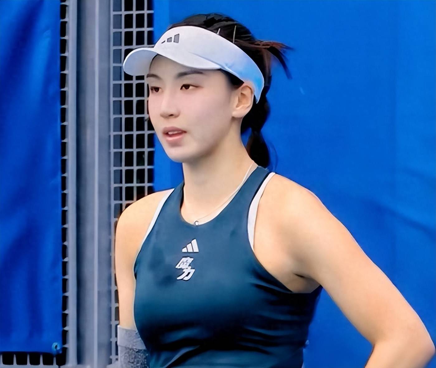 了诸多变化 了诸多变化