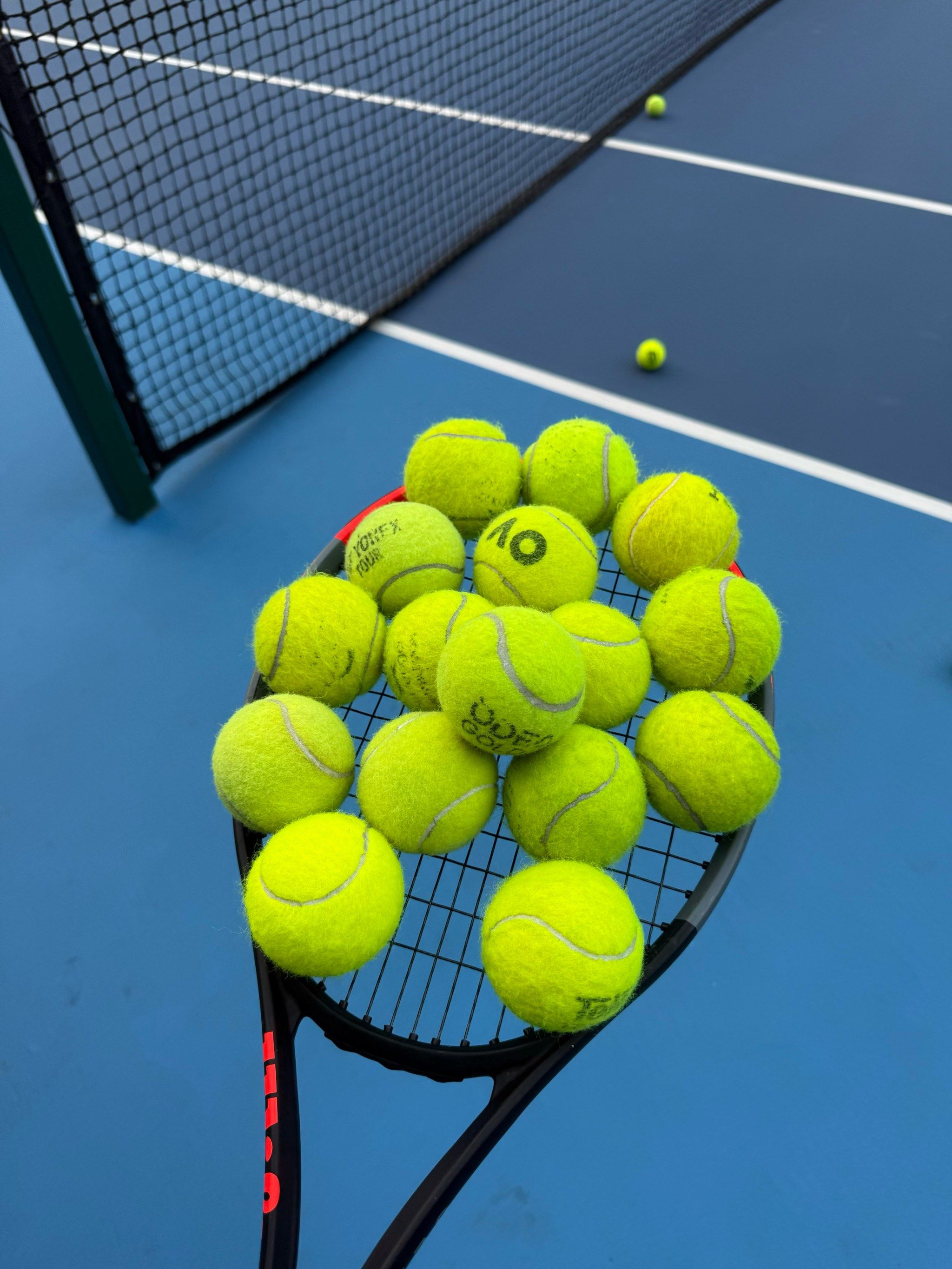 德约科维奇 德约科维奇