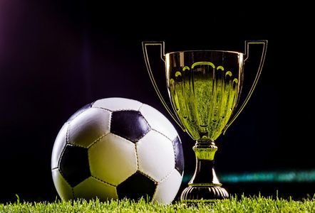 任何隐性的 任何隐性的