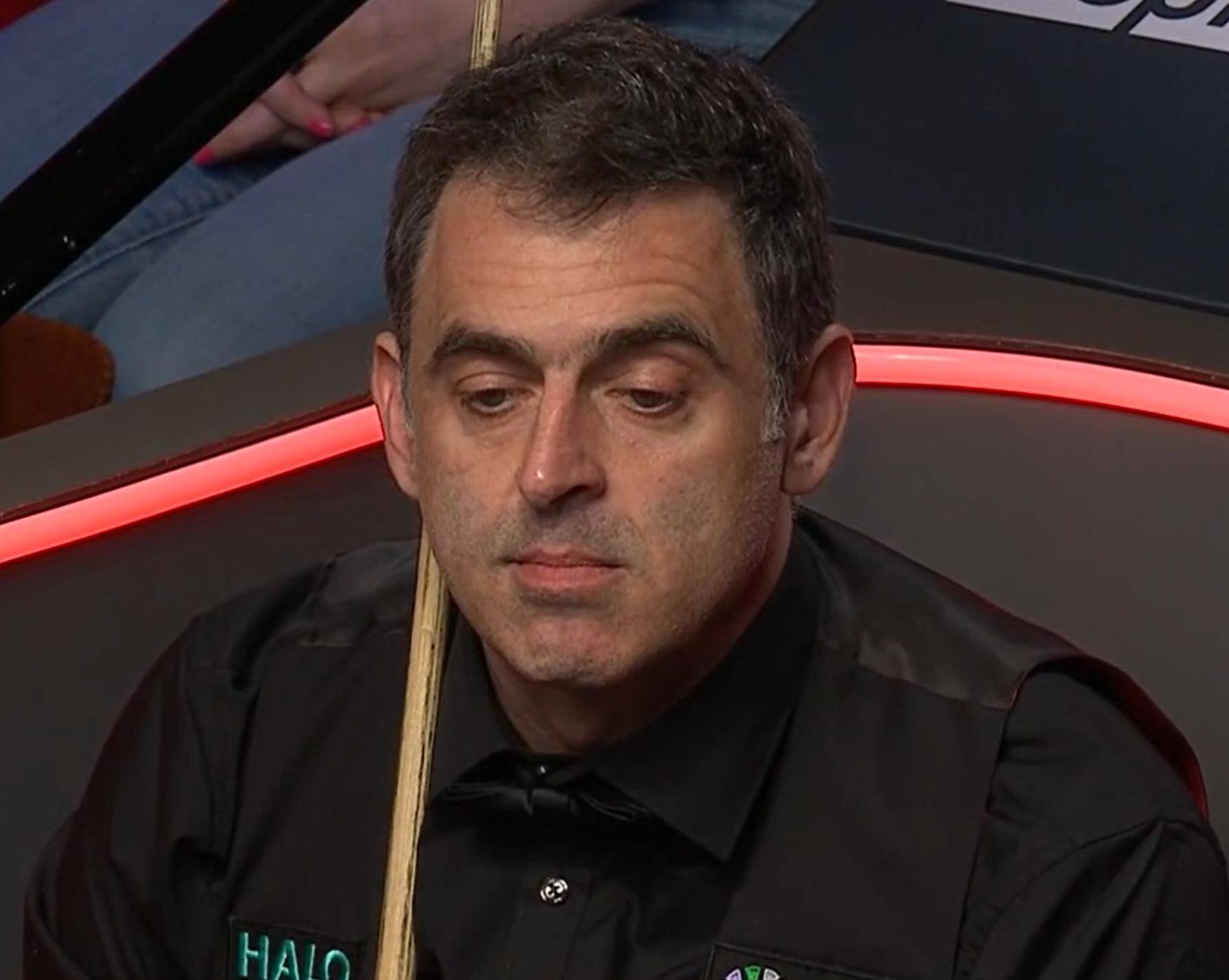 更是对日照 更是对日照