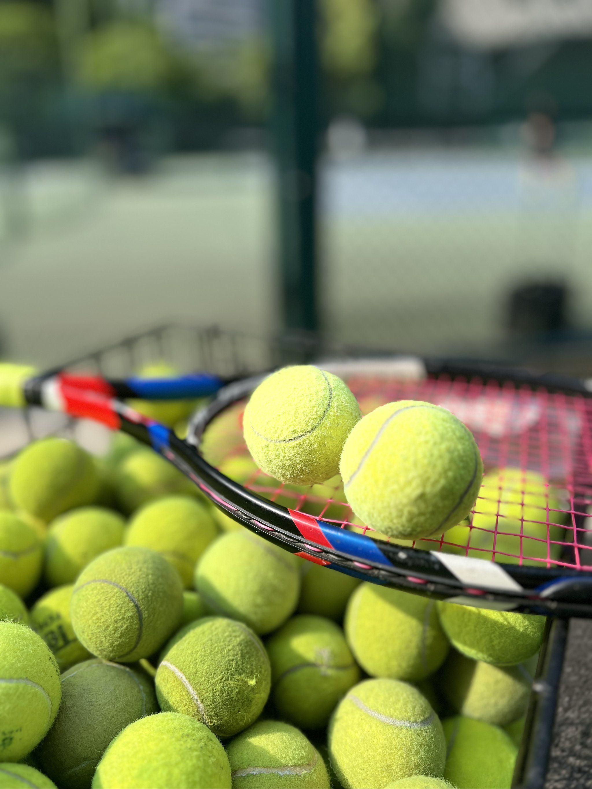 制造混乱 制造混乱